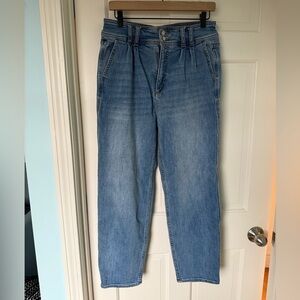 Pilcro for Anthropologie size 28 pleated jeans